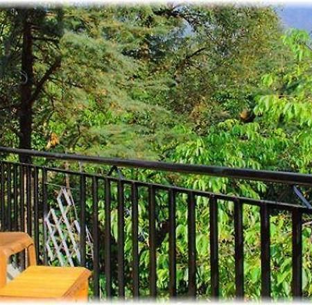 Hotel Misty Woods Dharamshala Exterior foto
